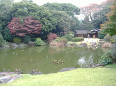 Tea house in the Japanese garden